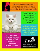 /album/specialty-item-samples/icat-spayneuter-poster-jpg/